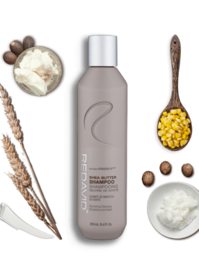 Shea Butter Shampoo